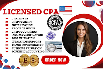 provide forensic accounting, fraud investigation and litigation support as a CPA