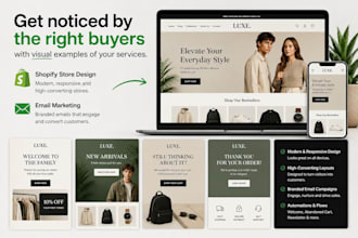 design a professional shopify store that converts