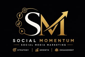 create high converting social media ads facebook, google and video ads campaigns