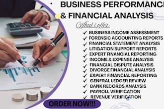 prepare detailed financial reports with revenue, payroll and profit analysis
