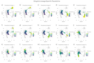 do advanced ngs analysis and bioinformatic analysis