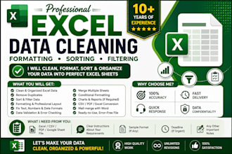 clean, format, sort, filter, and organize your excel data professionally