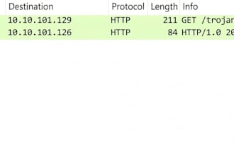 perform packet capture and network traffic analysis