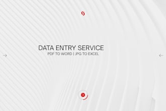 fast and accurate  data entry in excel and word