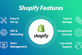 create professional shopify dropshipping setup