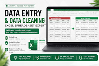 do accurate data entry, data cleaning, and excel work