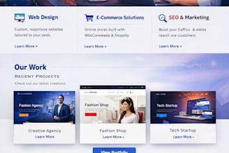 design and develop a professional website