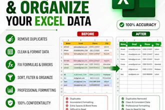 clean, format, and fix your excel spreadsheet professionally