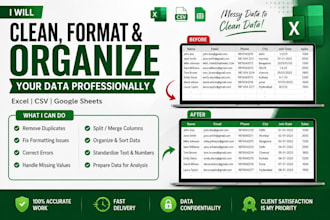 clean, format, and organize your excel or CSV data professionally