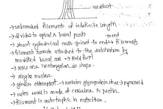 write your notes in clear and neat handwriting