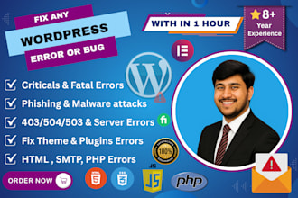 fix wordpress bugs, wordpress errors, plugin issues, smtp, critical errors