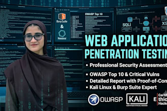 perform web application penetration testing