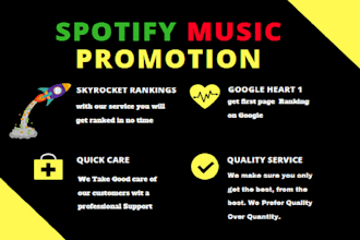 do professional spotify music dutch promotion