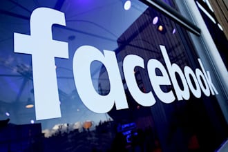 organic facebook page promotion for monetization