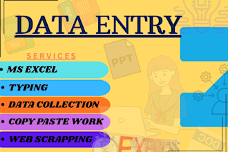 do accurate data entry excel typing and web scraping