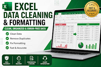 do excel data cleaning, formatting and spreadsheet editing