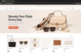 be your shopify store expert for store design, development and dropshipping