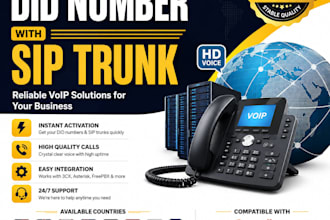 provide premium did numbers and sip trunks for your  business