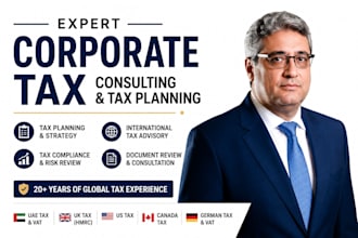 provide expert corporate tax consulting and tax planning
