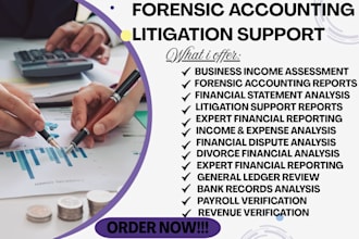 perform forensic accounting and income expense analysis for disputes