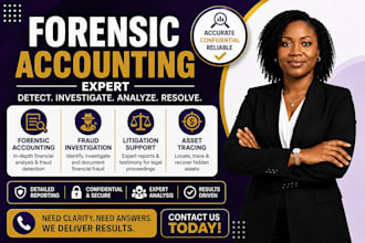 do forensic accounting, fraud investigation, litigation support, asset tracing