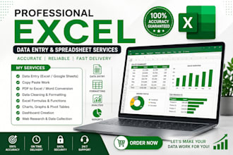 do microsoft excel data entry, formulas and data cleaning