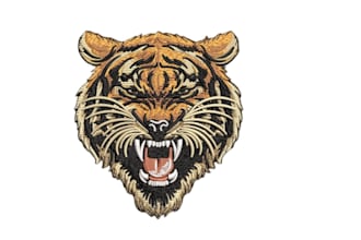 convert your logo to dst,pes,exp using wilcom fast embroidery digitizing