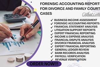 prepare forensic accounting reports for divorce and family court cases
