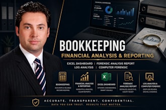 do bookkeeping, financial analysis, excel dashboard, forensic analysis report