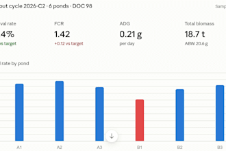 write sql queries and turn your database into clear reports