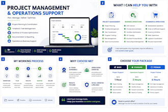 provide project management and business operations support