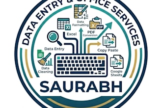 hello I am a professional data entry and excel specialist