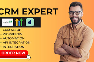 gohighlevel workflow automation a2p 10dlc mailerlite dubsado integration expert