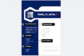 professional and modern CV or resume layouts