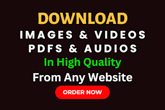 do professional upload and download service