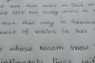 writte anything else with beautiful handwriting