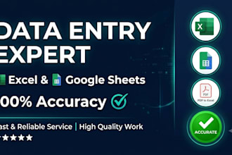 be your professional data entry operator