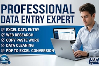 do fastest data entry, excel data cleanup, and web scraping