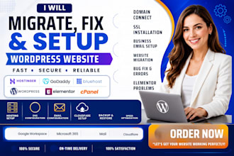connect domain, install SSL, set professional business email website migration