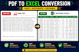 professional PDF to excel conversion