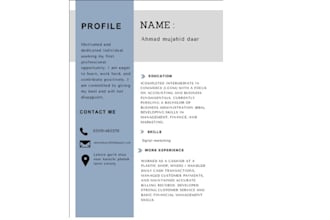 be your professional ats resume or CV designer and CV maker