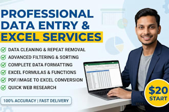 do excel data entry data cleaning formatting and sorting