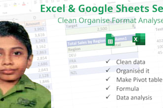 clean data, organised it, make pivot table data analysis