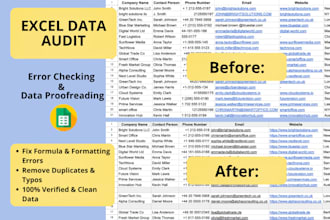 do detailed data checking proofreading and error audit in excel