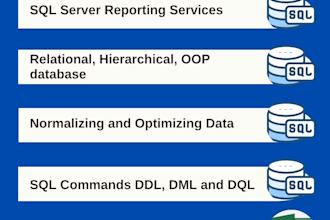 provide ssrs power bi sql commands data entry and data scraping