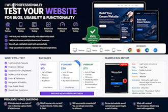 professionally test your website for bugs, usability and functionality