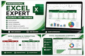 microsoft excel data entry, cleaning, formatting and pivot tables