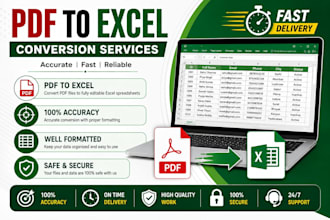 do excel data entry, PDF to excel, web research