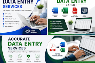 do accurate data entry, microsoft excel, microsoft word, PDF conversion