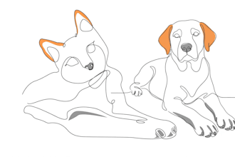 create custom line art, dog line art, and minimalist drawings